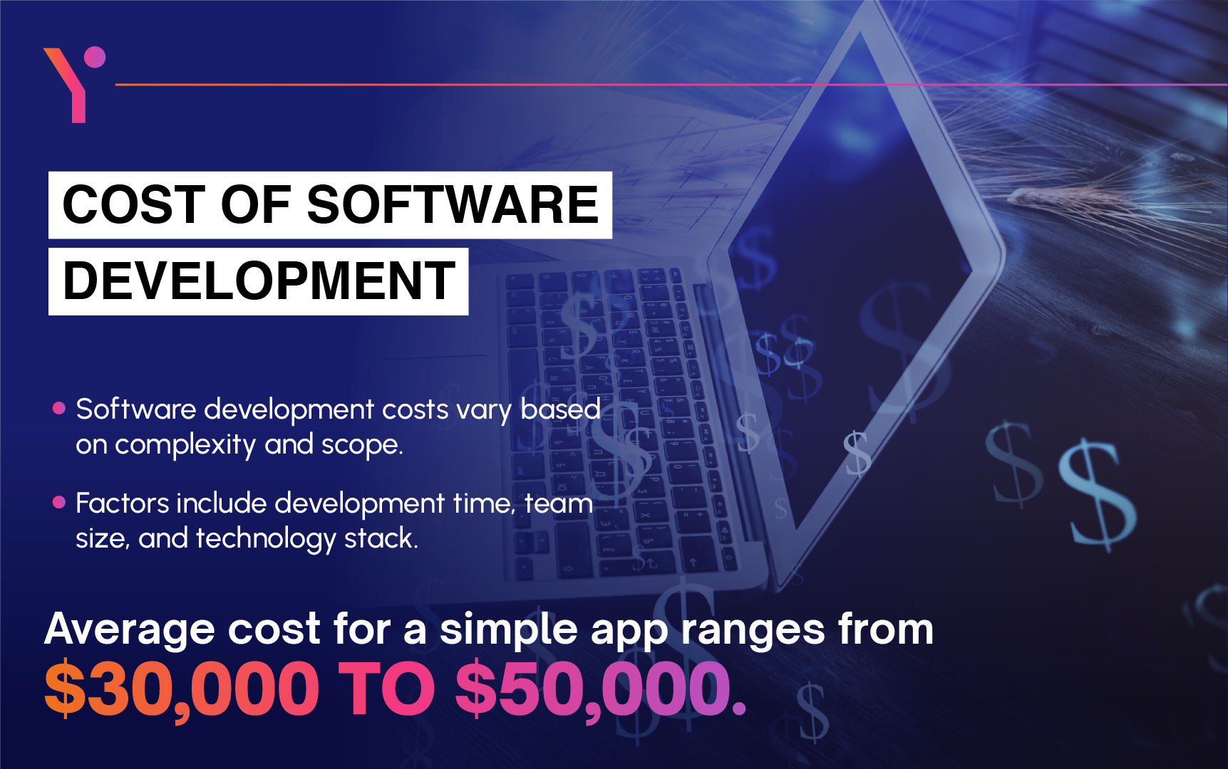 How Much Does Software Development Cost?