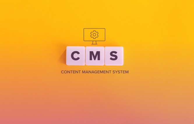 Enterprise Content Management System: Streamline Your Business Processes